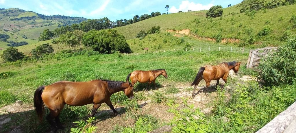 Rural / Chácara no Salto — foto 20