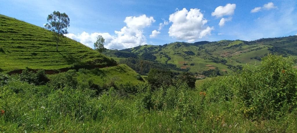 Rural / Chácara no Salto — foto 5