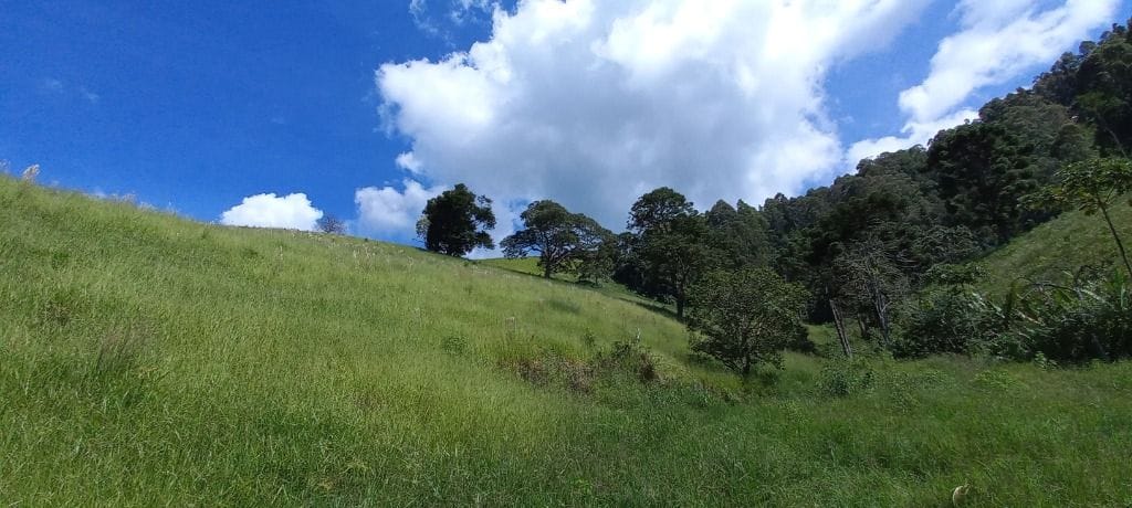 Rural / Chácara no Salto — foto 11