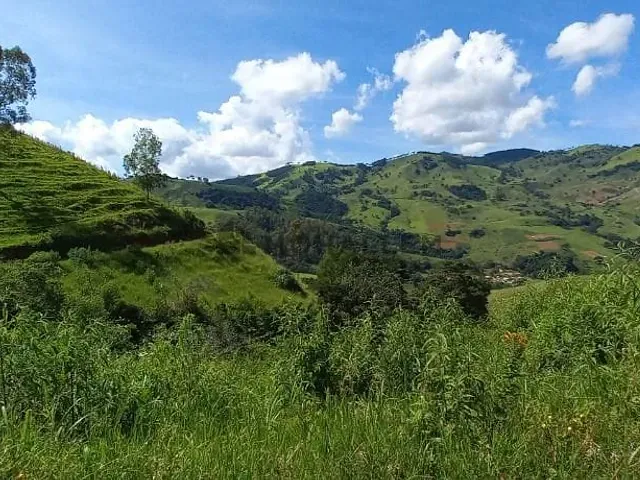 Fazenda com 1244364m², à venda, no bairro Salto em Delfim Moreira