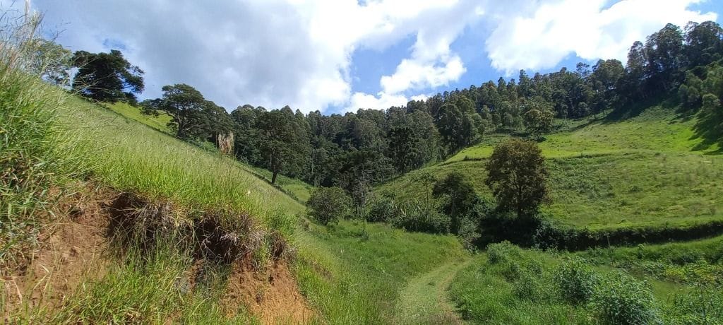 Rural / Chácara no Salto — foto 9