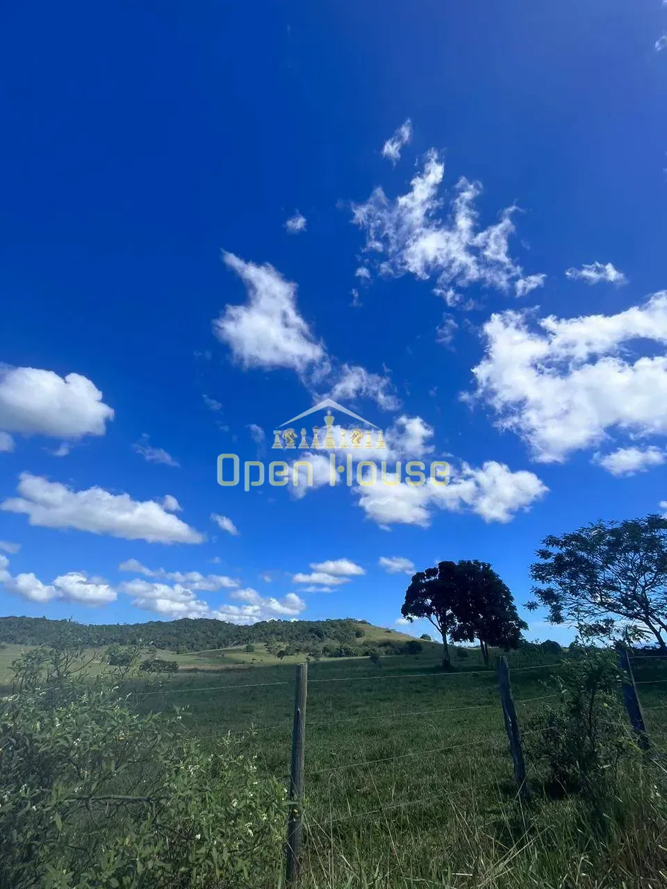 Fazenda, 126 hectares - Foto 21