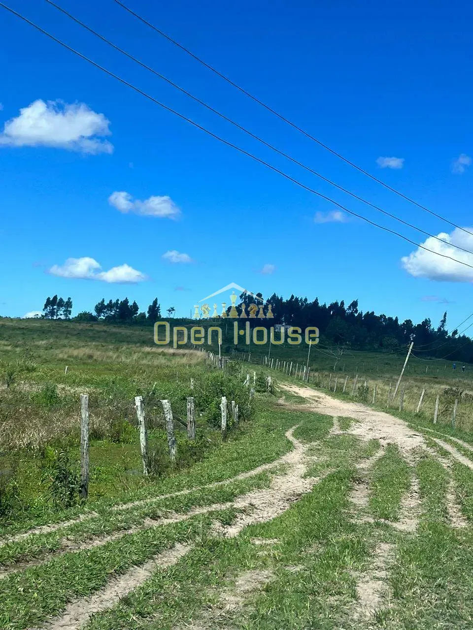 Fazenda, 126 hectares - Foto 33