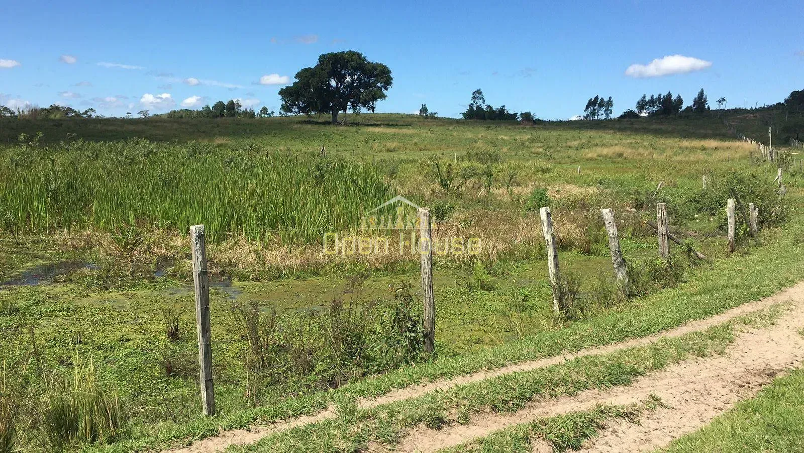 Fazenda, 126 hectares - Foto 7