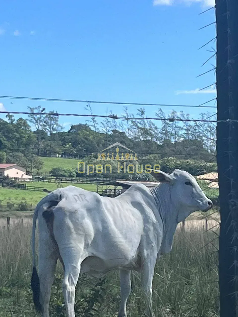 Fazenda, 126 hectares - Foto 1