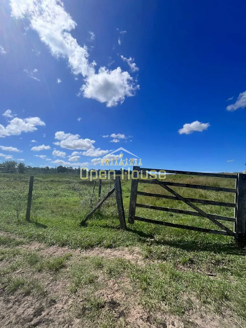 Fazenda, 126 hectares - Foto 38