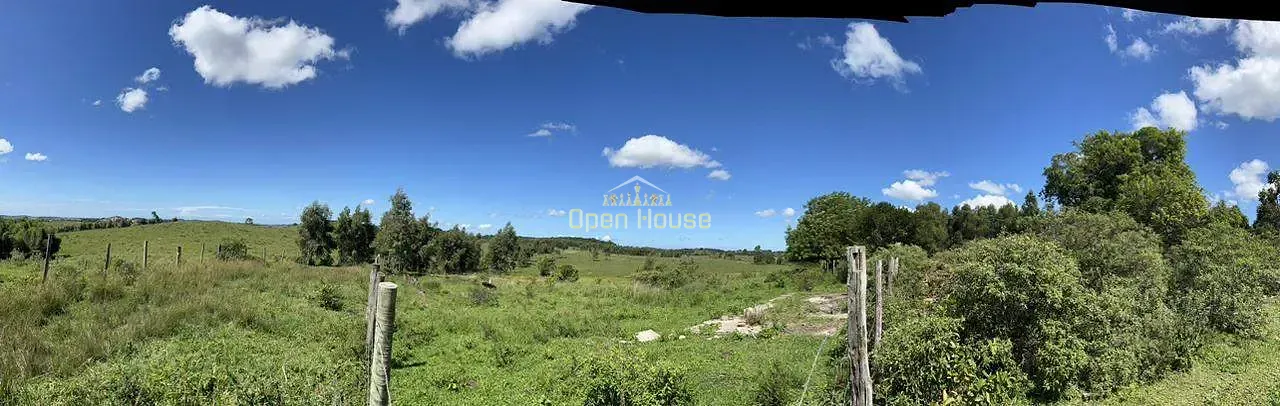 Fazenda, 126 hectares - Foto 41