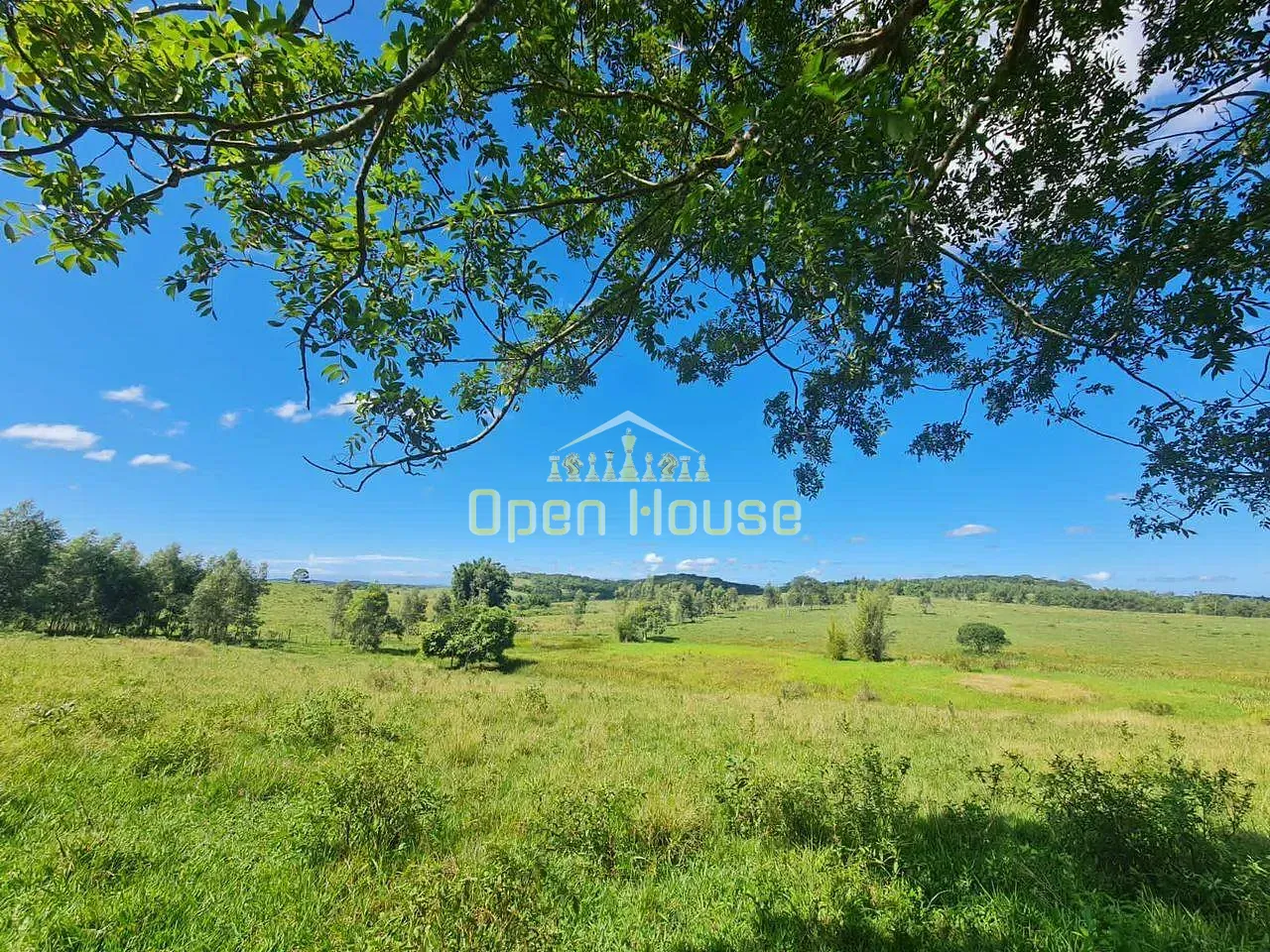 Fazenda, 126 hectares - Foto 43