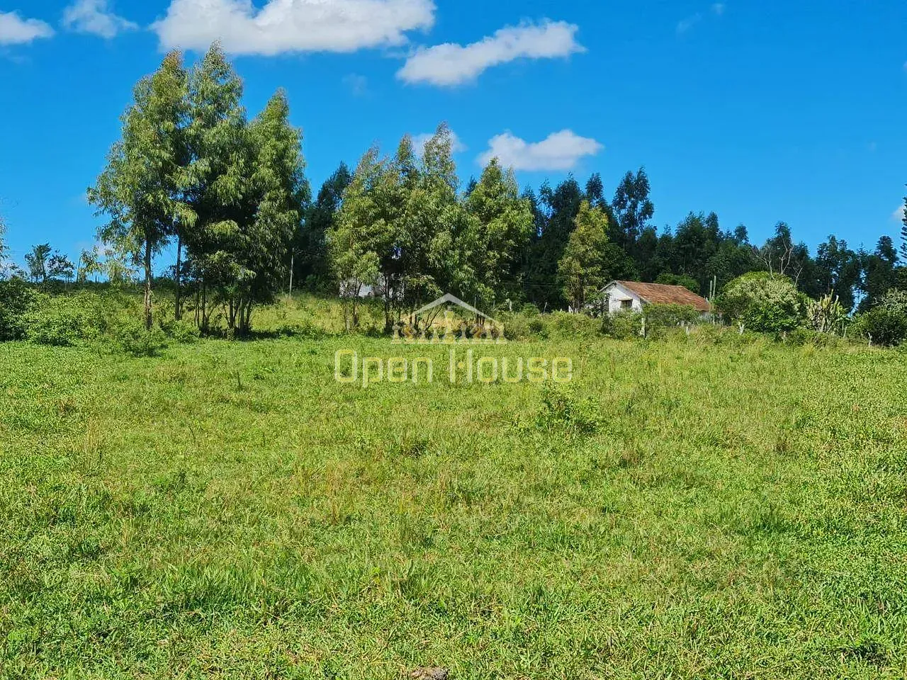 Fazenda, 126 hectares - Foto 45