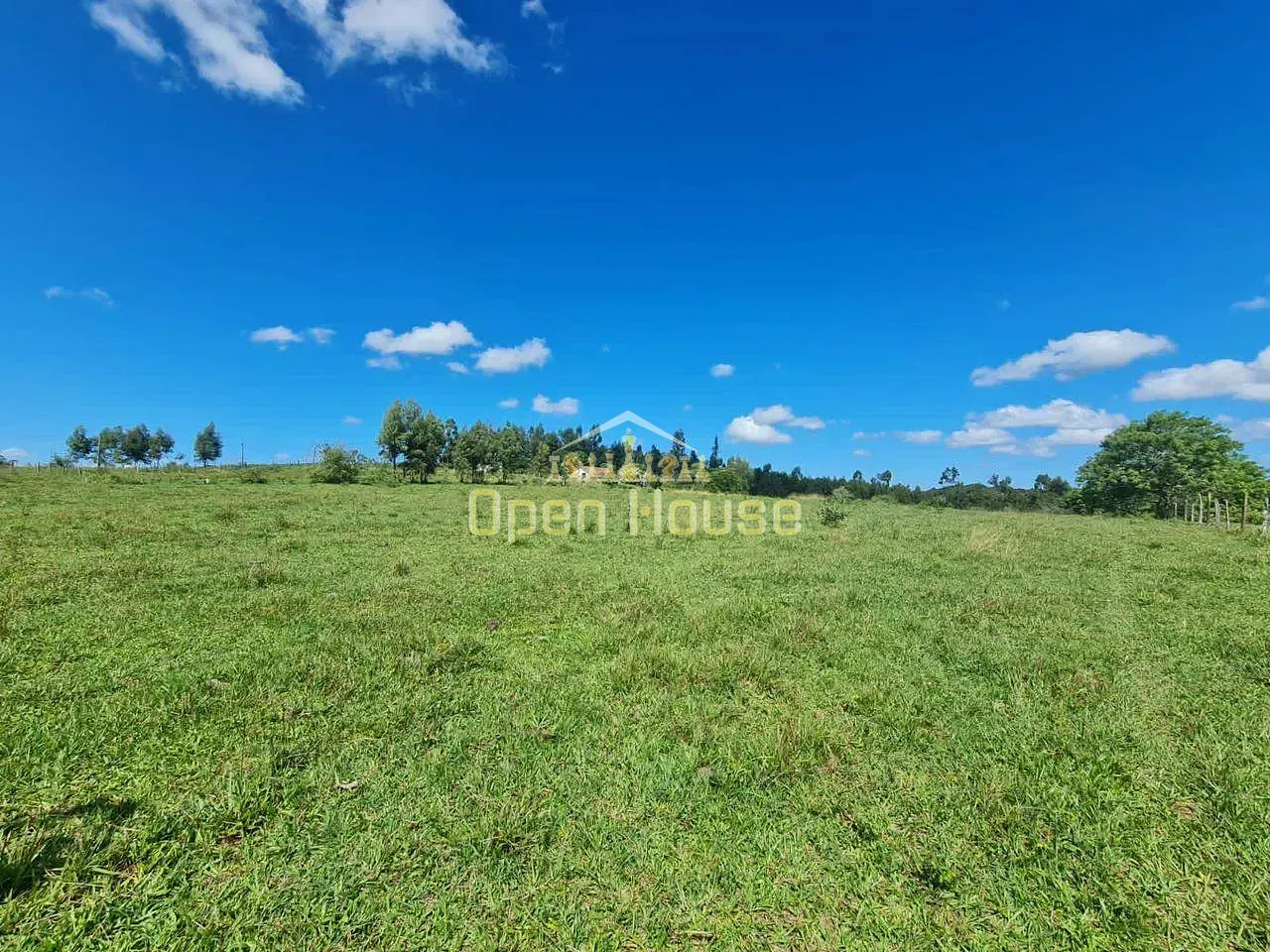Fazenda, 126 hectares - Foto 46