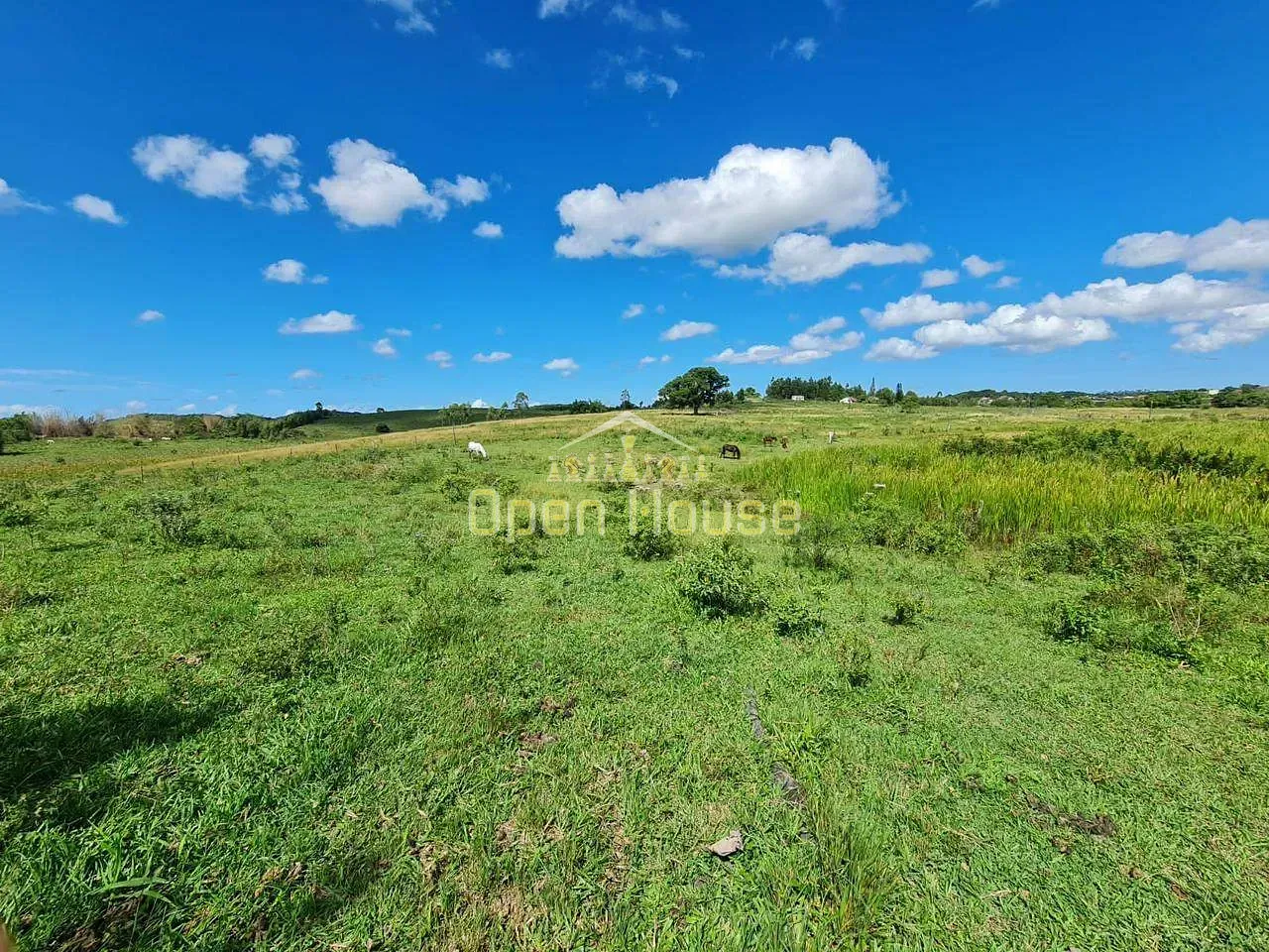 Fazenda, 126 hectares - Foto 60