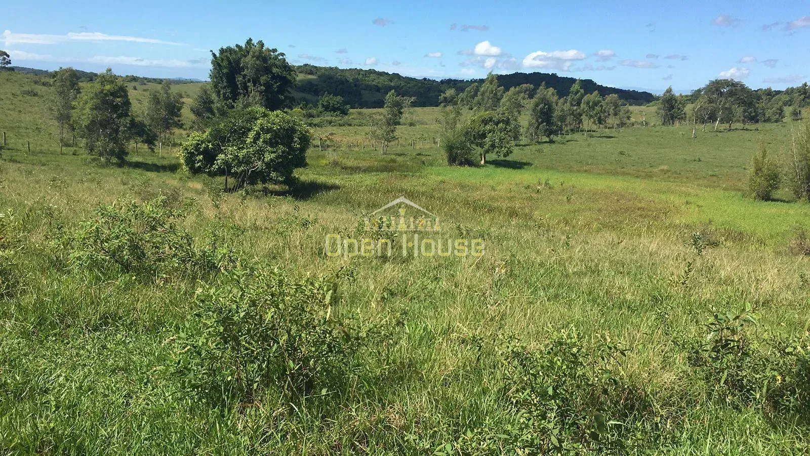 Fazenda, 126 hectares - Foto 11