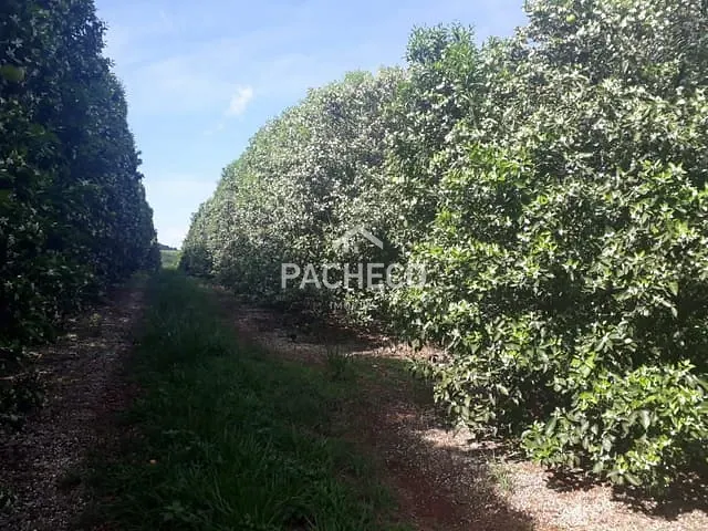Fazenda com 5584876m² 3 quartos e 3 banheiros, à venda, no bairro Santa Teresinha em Pedregulho