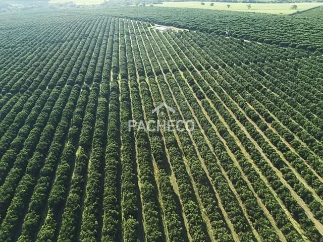 Fazenda com 5584876m² 3 quartos e 3 banheiros, à venda, no bairro Santa Teresinha em Pedregulho