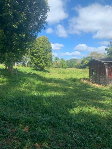 Foto do Fazenda - Fazenda à Venda, Zona Rural , Una, BA | MINHA PRAIA IMÓVEIS