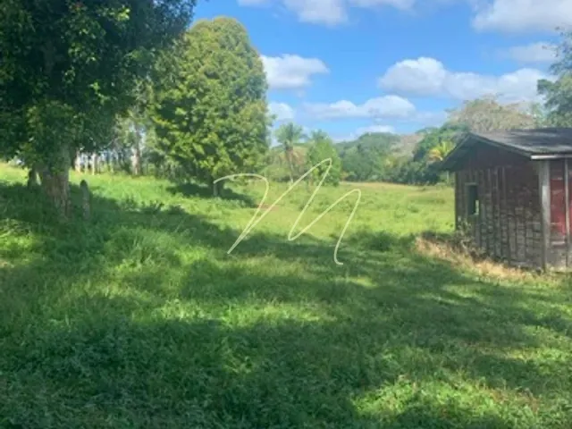Fazenda com 1700000m², à venda, no bairro Zona Rural  em Una