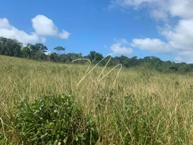 Fazenda com 1700000m², à venda, no bairro Zona Rural  em Una