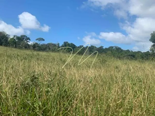 Fazenda com 1700000m², à venda, no bairro Zona Rural  em Una