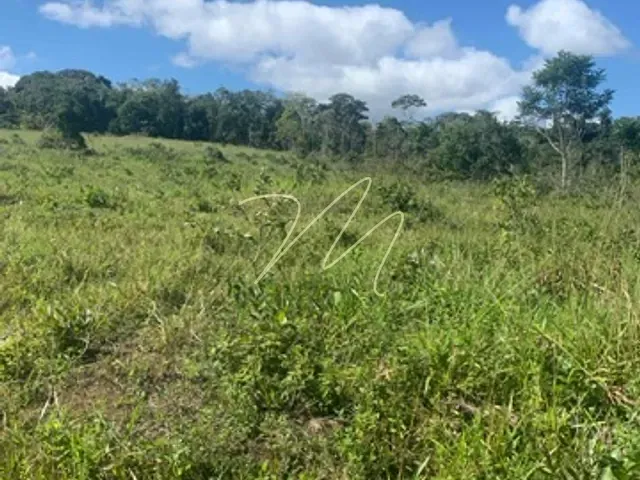 Fazenda com 1700000m², à venda, no bairro Zona Rural  em Una