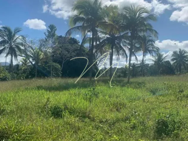 Fazenda com 1700000m², à venda, no bairro Zona Rural  em Una