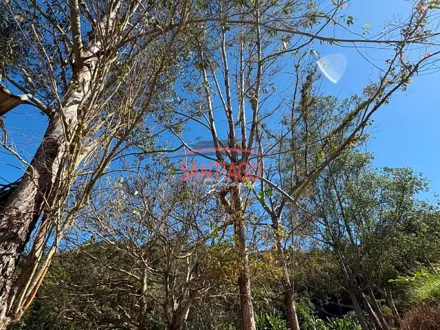 Fazenda 3 quartos e 2 banheiros, para alugar, no bairro Rural em Palma