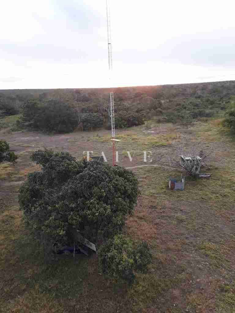 Fazenda à venda com 1 quarto, 10m² - Foto 46
