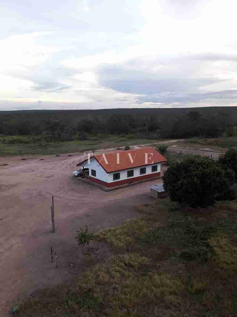 Fazenda à venda com 1 quarto, 10m² - Foto 44