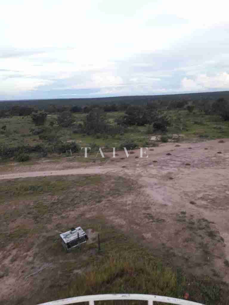 Fazenda à venda com 1 quarto, 10m² - Foto 48