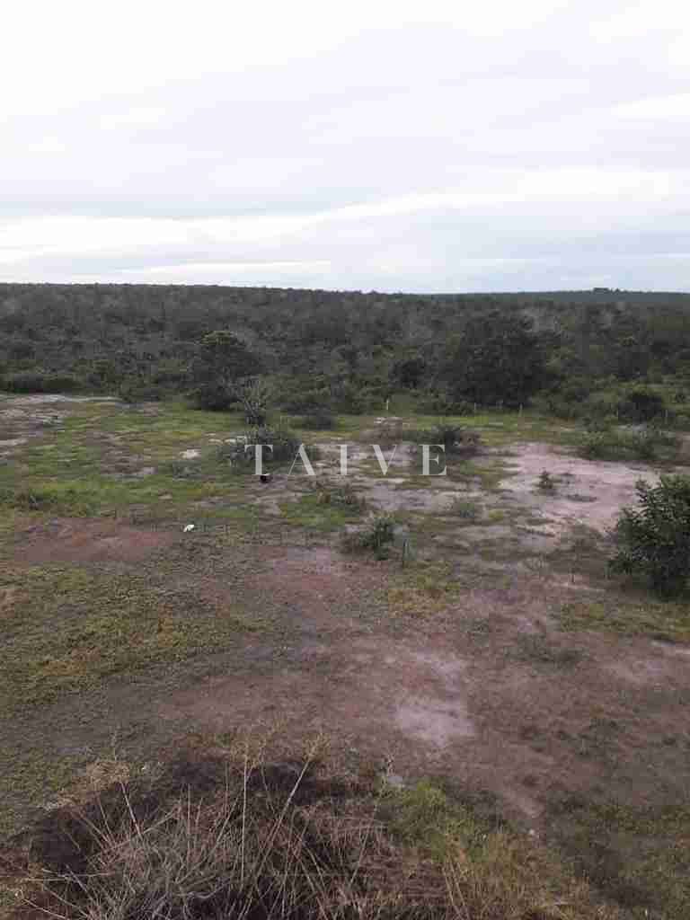 Fazenda à venda com 1 quarto, 10m² - Foto 47