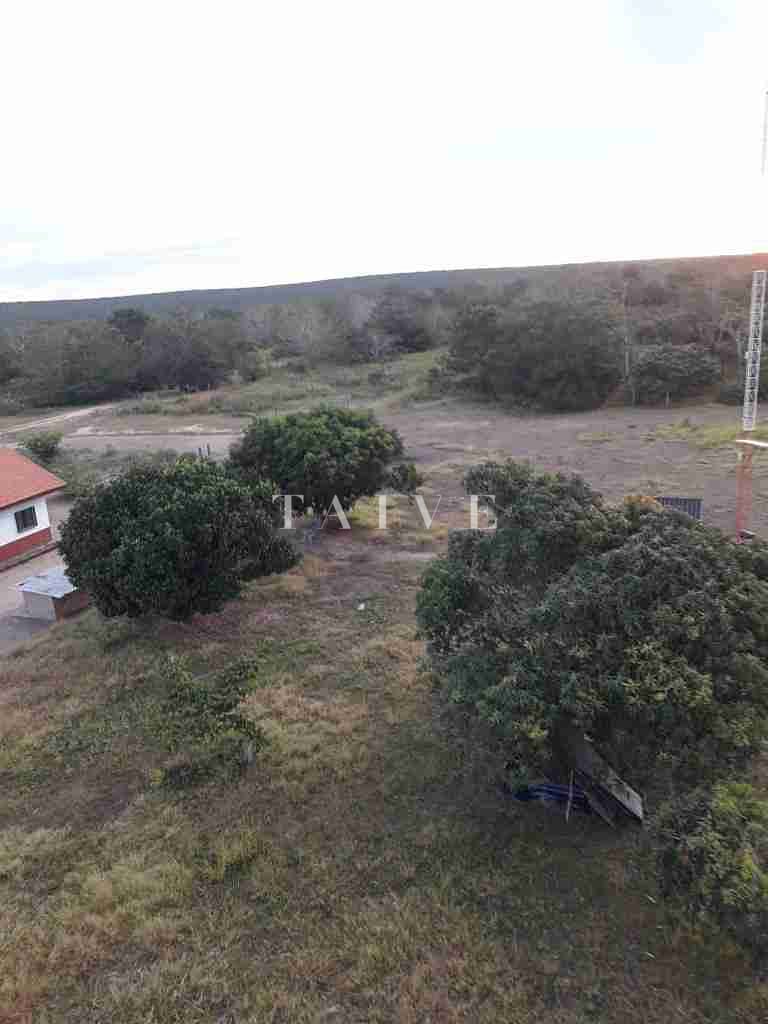 Fazenda à venda com 1 quarto, 10m² - Foto 42