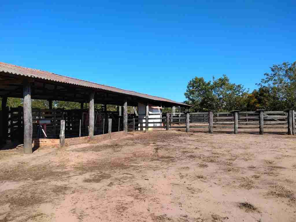 Fazenda à venda com 1 quarto, 10m² - Foto 36
