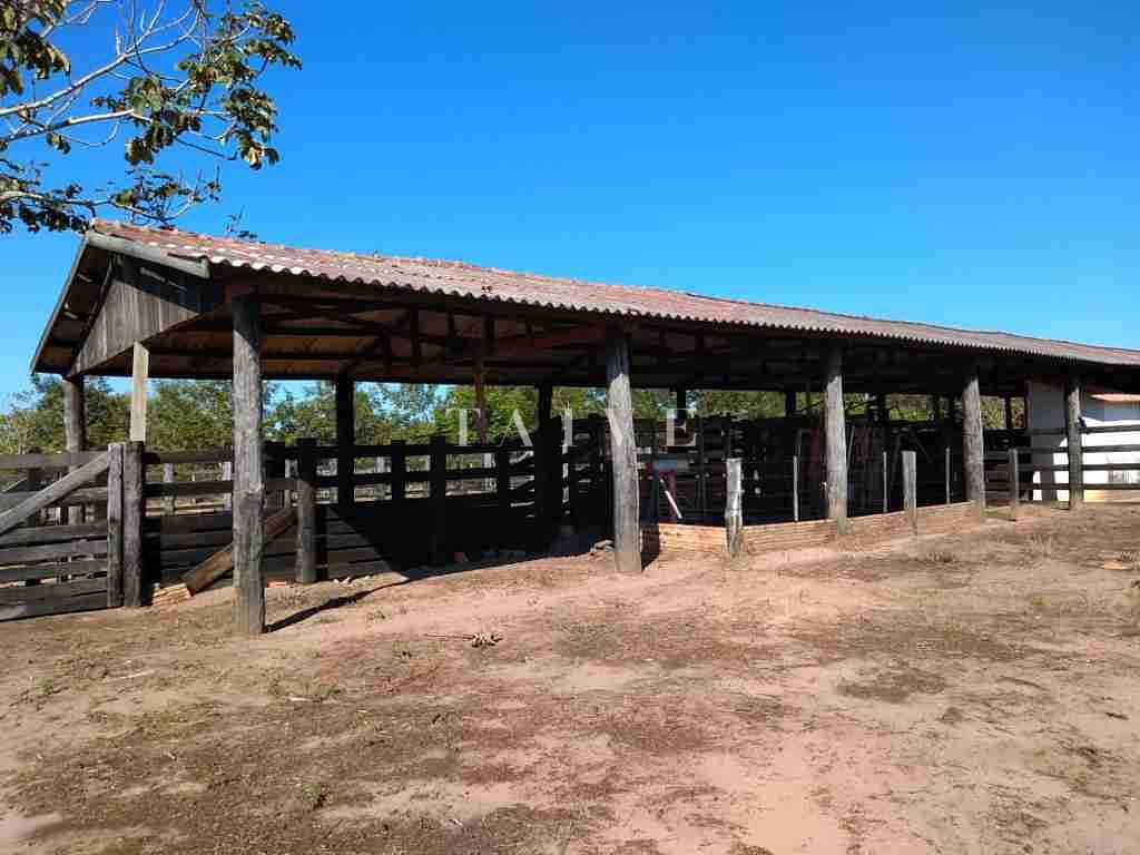Fazenda à venda com 1 quarto, 10m² - Foto 35