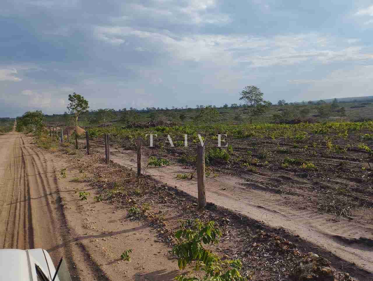 Fazenda à venda com 1 quarto, 10m² - Foto 40
