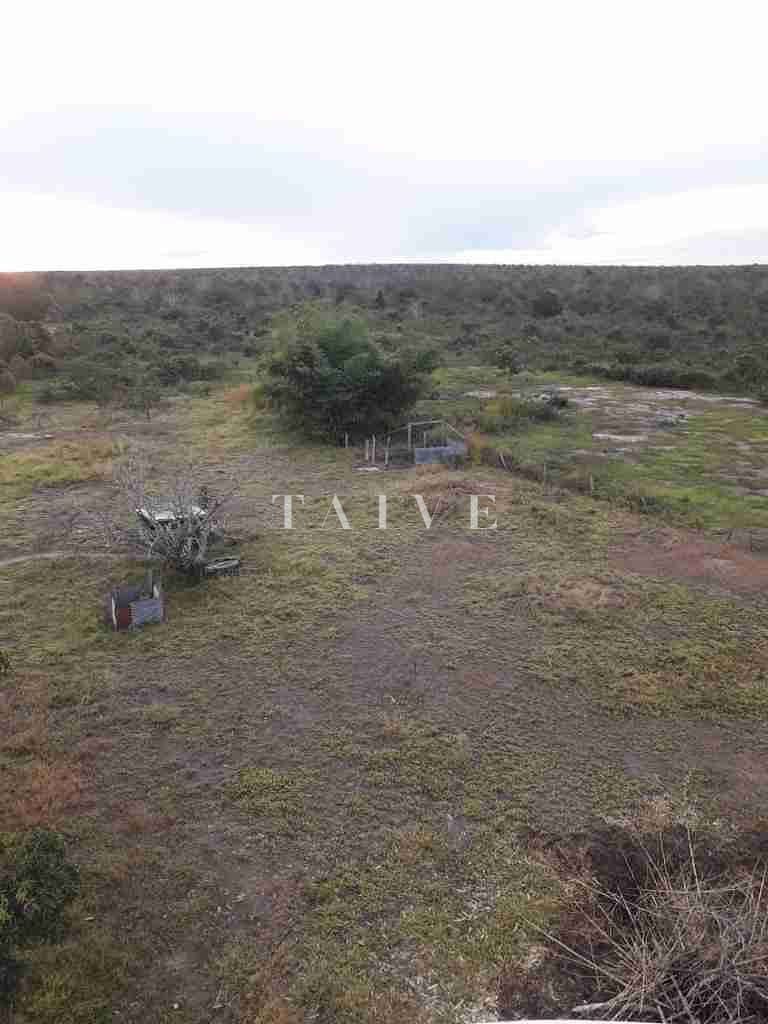 Fazenda à venda com 1 quarto, 10m² - Foto 27