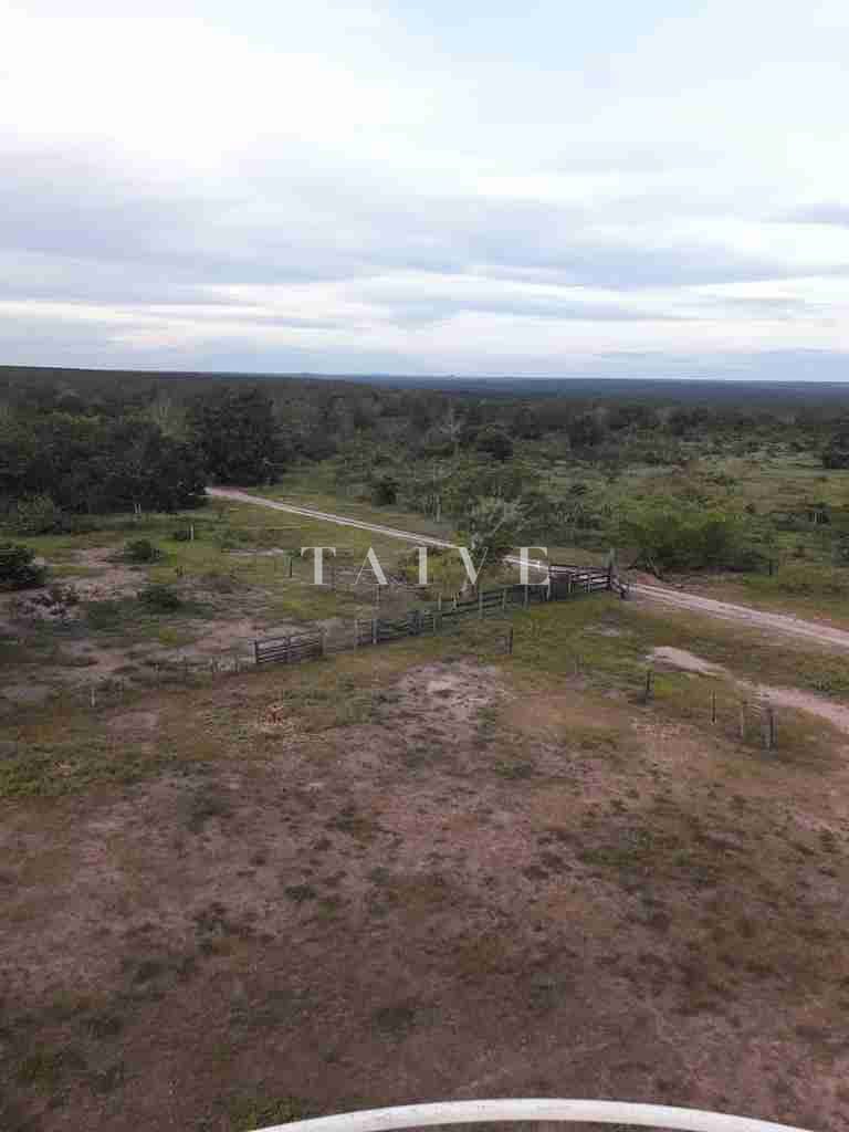 Fazenda à venda com 1 quarto, 10m² - Foto 22