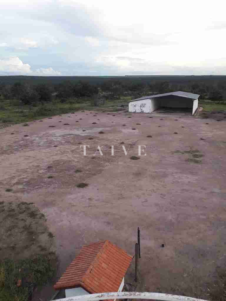 Fazenda à venda com 1 quarto, 10m² - Foto 18