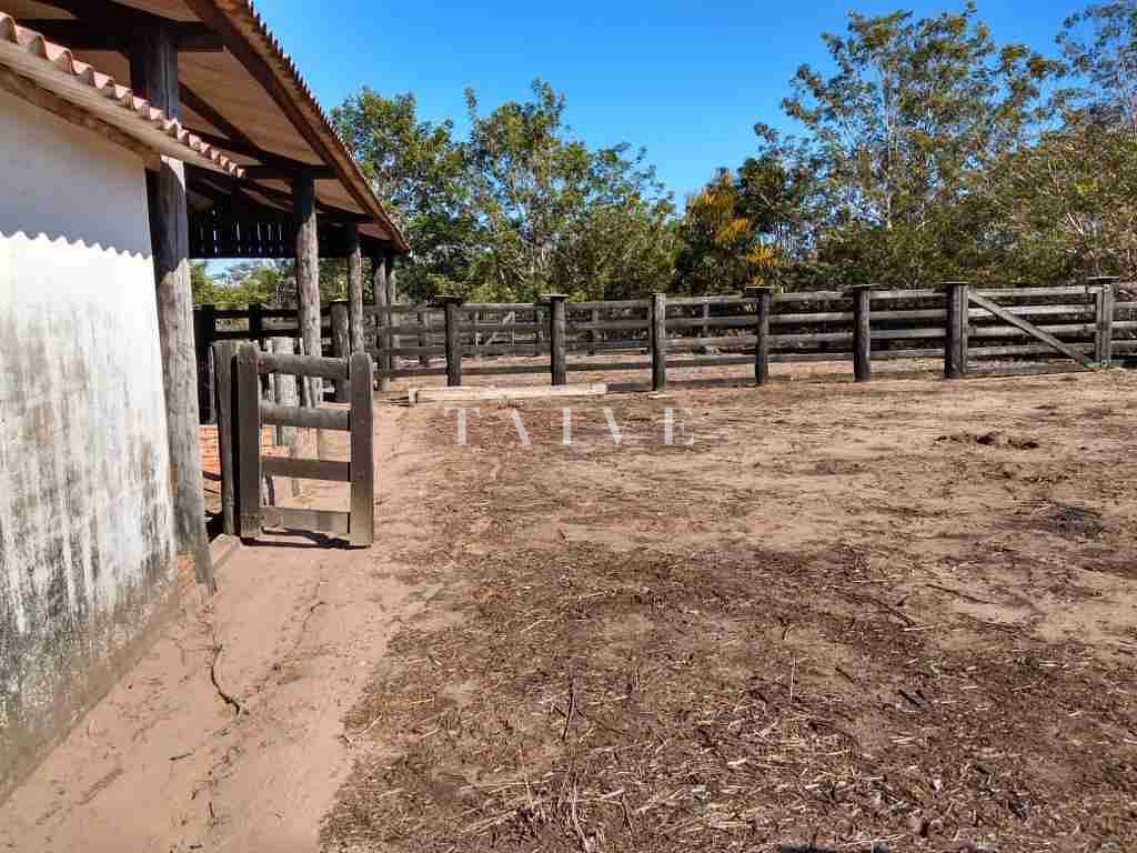 Fazenda à venda com 1 quarto, 10m² - Foto 15
