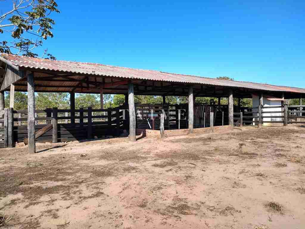 Fazenda à venda com 1 quarto, 10m² - Foto 12