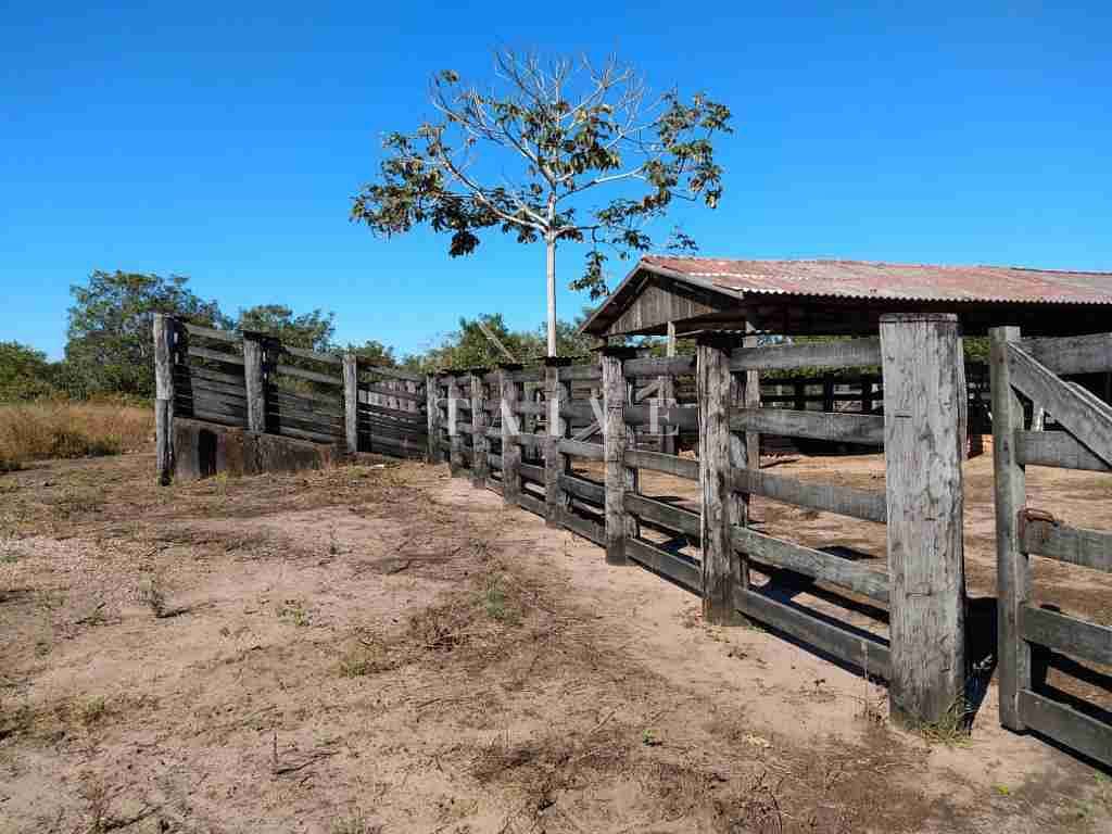 Fazenda à venda com 1 quarto, 10m² - Foto 11