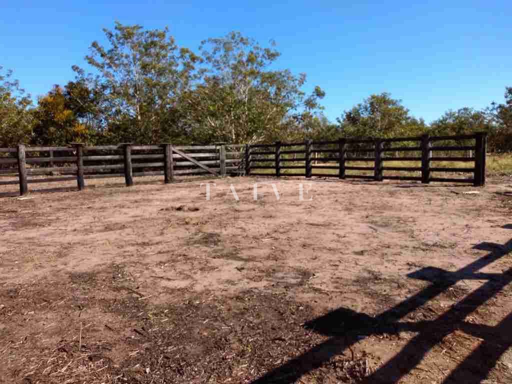 Fazenda à venda com 1 quarto, 10m² - Foto 10