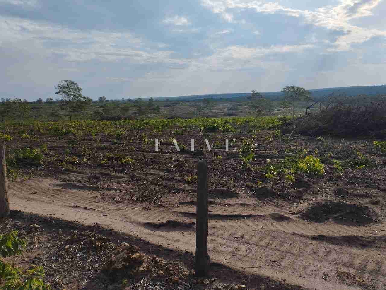 Fazenda à venda com 1 quarto, 10m² - Foto 5