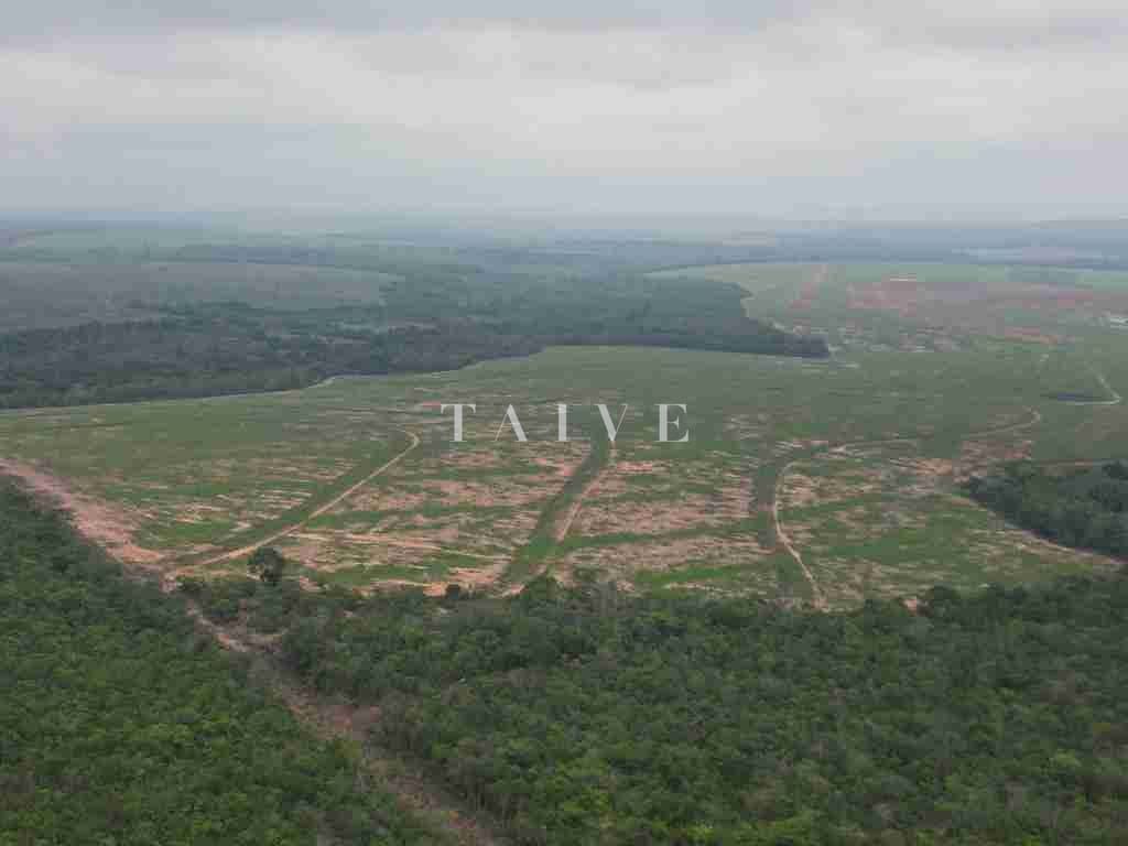 Fazenda à venda com 1 quarto, 10m² - Foto 9