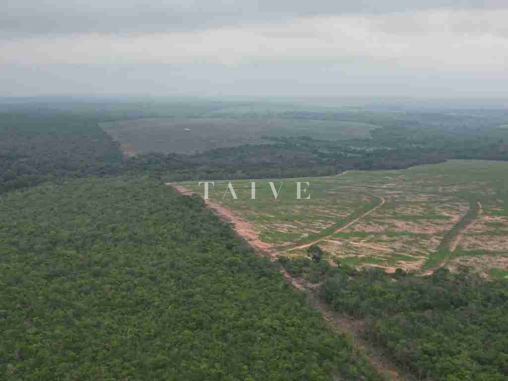 Fazenda à venda com 1 quarto, 10m² - Foto 2