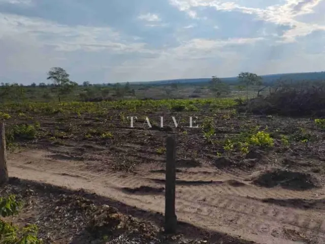 Fazenda com 3000m² 1 quarto e 1 banheiro, à venda, no bairro centro em Campos de Júlio