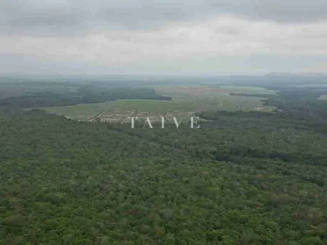 Fazenda com 3000m² 1 quarto e 1 banheiro, à venda, no bairro centro em Campos de Júlio