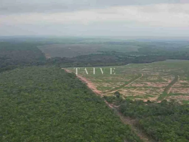 Fazenda com 3000m² 1 quarto e 1 banheiro, à venda, no bairro centro em Campos de Júlio