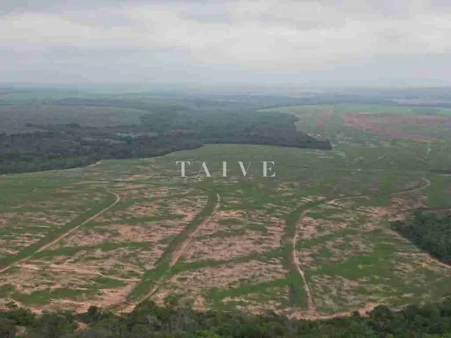 Fazenda com 3000m² 1 quarto e 1 banheiro, à venda, no bairro centro em Campos de Júlio