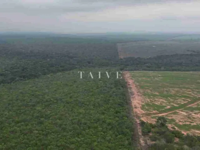 Fazenda com 3000m² 1 quarto e 1 banheiro, à venda, no bairro centro em Campos de Júlio