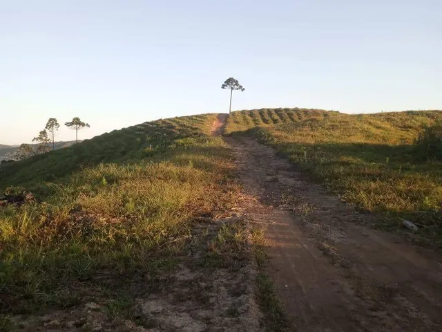 Fazenda à venda, Socavão, Castro, PR