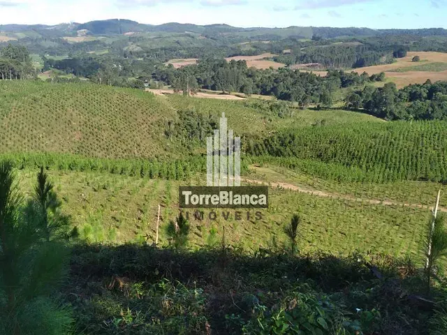 Fazenda à venda, no bairro Socavão em Castro